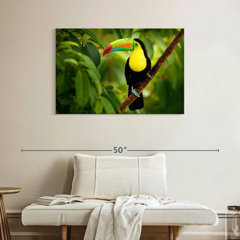 Toucan On A Tree