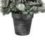 Plante-123757005