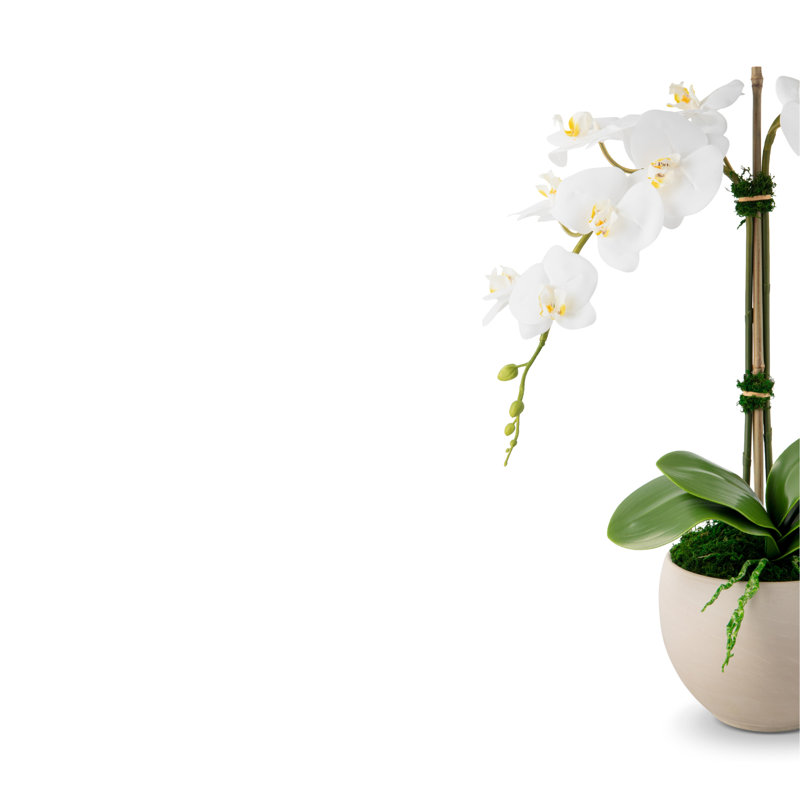 Arrangement Cassandra RealTouch Orchid, Neige