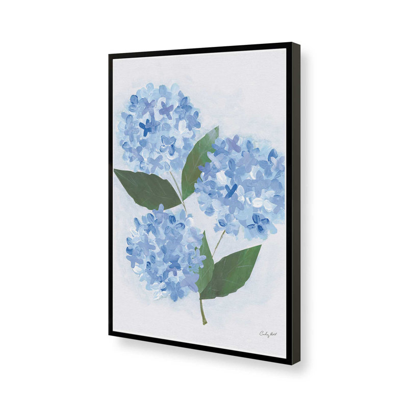 Reproduction d'art sur toile Providence Hydrangea I par Courtney Prahl, Noir, H 16 po x l 12 po