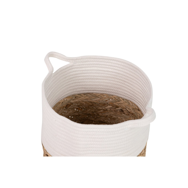 Garpe Interiores Basket
