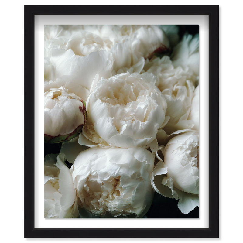 Milk White Muse Shadowbox Floral & Botanical Print by Oliver Gal, Black Frame, 16 x 20, 46.5"H x 37.5"W, Black Shadowbox