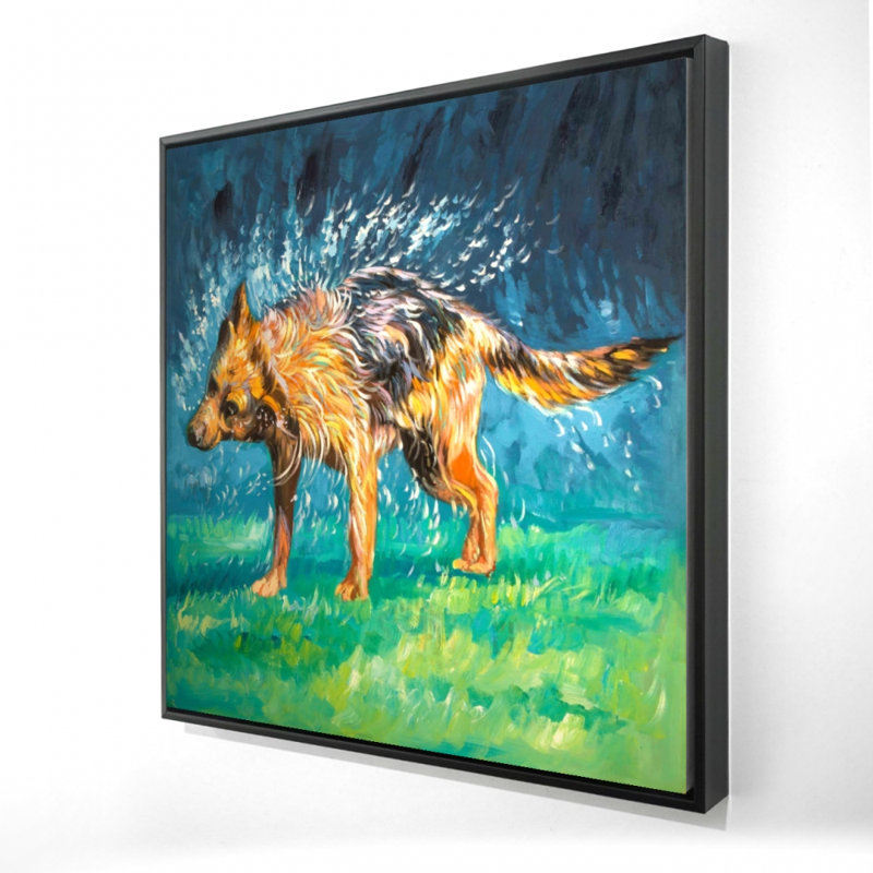 " Spin-dry Wet German Shepherd "