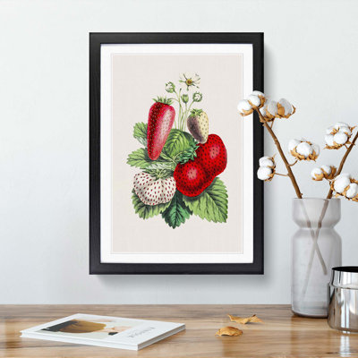 Wild Strawberry Illustration - Framed Print