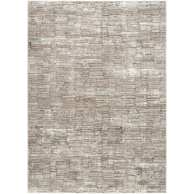 Ivaline Modern Multi Stripe Sustainable Woven Area Rug