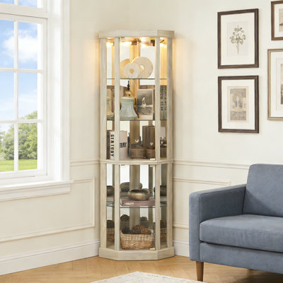 Lighted Corner Display Cabinet Glass Cabinet with Adjustable Glass Shelves and Bulb by Winston Porter