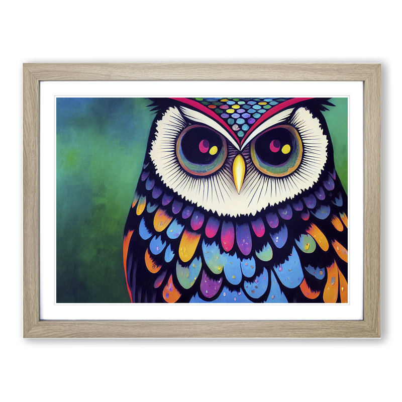Colourful Owl Vol.2 - Single Picture Frame Print, 46cm H x 64cm W x 2cm D, Oak Framed