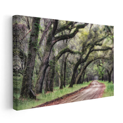 «Dirt Road II», reproduction d'art sur toile
