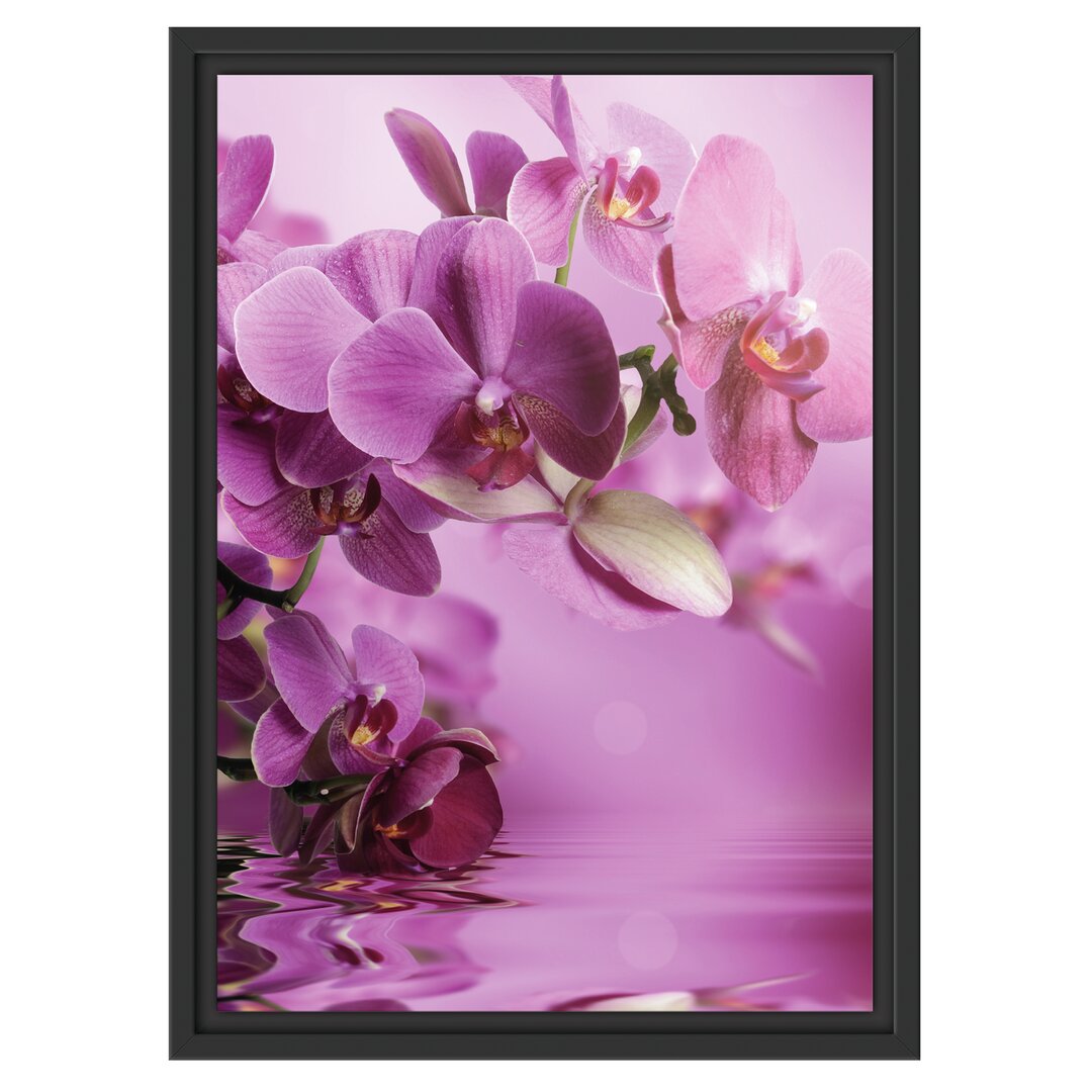 Gerahmtes Wandbild Wunderschöne Orchideenblüten