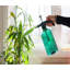 Bouteille Triva Plant Mister
