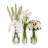 Large Vase Set