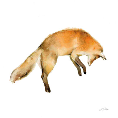 Renard sautant sur fond blanc