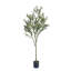 ARBRE D'OLIVE ARTIFIQUE 180CM