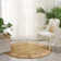 Baranof Oriental Indoor Rug