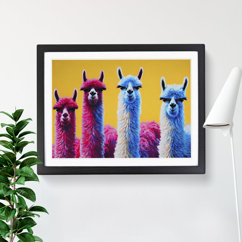 Enviable Llamas - Single Picture Frame Painting, Black, 34cm H x 46cm W x 2cm D
