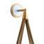 Ova 1 - Light Armed Sconce