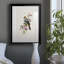 «Spring Song Goldfinch» - peinture encadrée-706629354-706629355