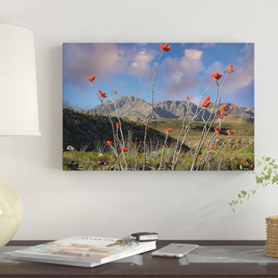 «Ocotillo, Big Bend Ranch State Park, Chihuahuan Desert, Texas» par Tim Fitzharris - reproduction de photo sur toile
