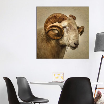 Ram by Mark Gemmell - Wrapped Canvas Print