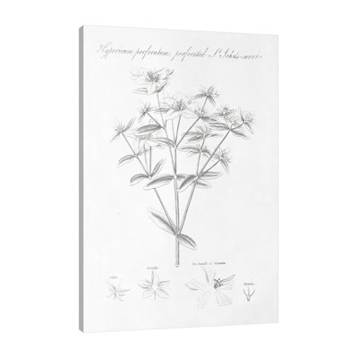 «Botany Book X» par Wild Apple Portfolio - impression sur toile tendue