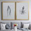 Marine Life I - Ensemble de 2 reproductions d'art sur toile encadrées-744355347-744355350