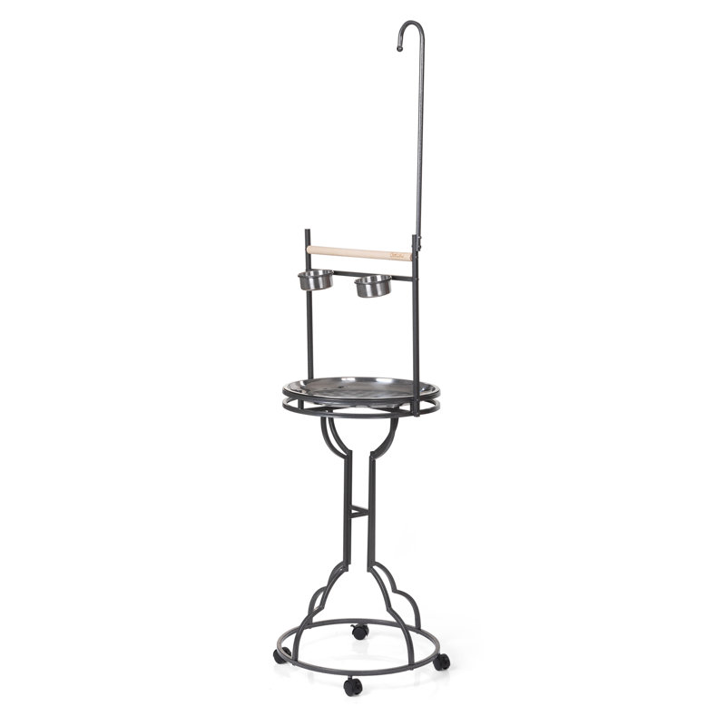 182cm Bird Play Stand