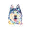 Husky Aviators par Lisa Whitehouse - impression d'art graphique-52542000-52542008-52541995