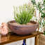 Pot de fleurs extérieur rond en polyrésine Ascend 20,75 po x 20,75 po x 11,5 po Ascend-1833277701-1780992741-1780992737