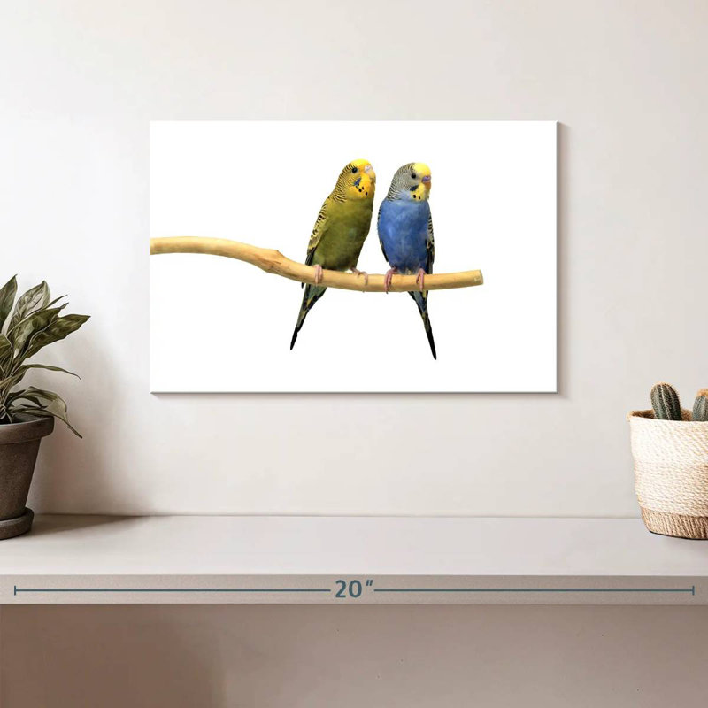 Parakeets, 8" H x 12" W