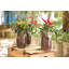 Glass Jar - Set of 24