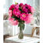 Grande et élégante pivoine rose / magenta