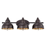 3 - Light Dimmable Vanity Light
