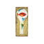 Pesci Colorati Spoon Rest