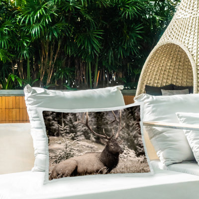 Outdoor Throw Pillow