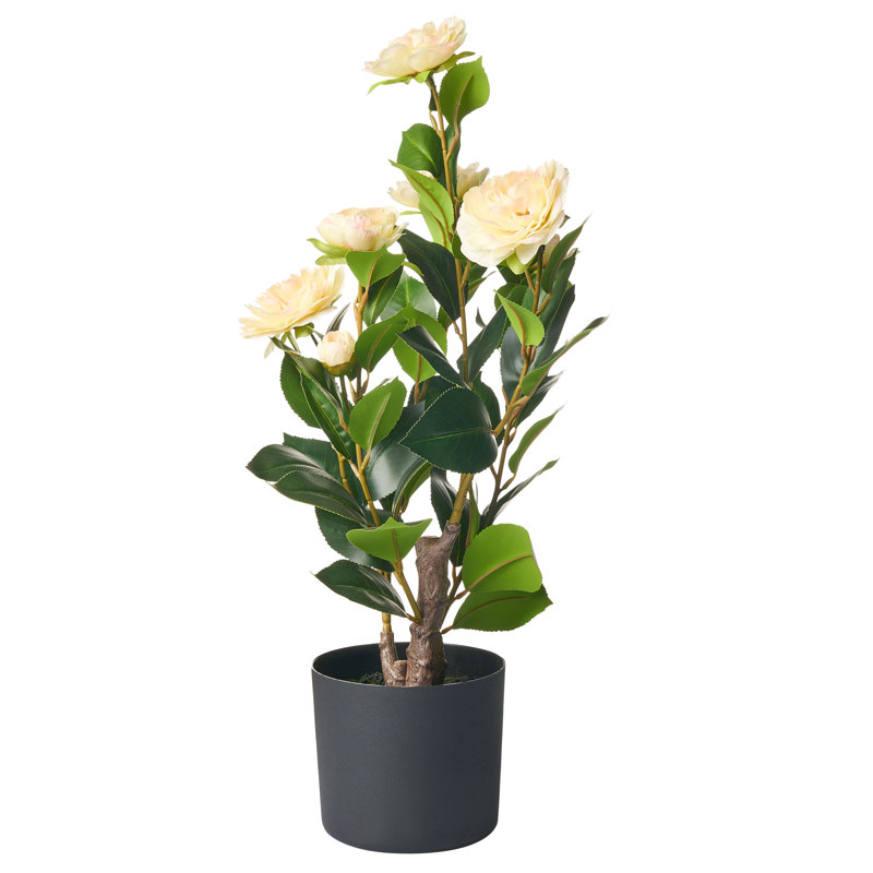 60cm Faux Camellia Plant in Pot