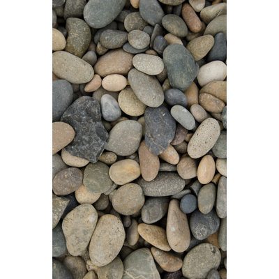 Beach Pebbles Print by Barclay Butera