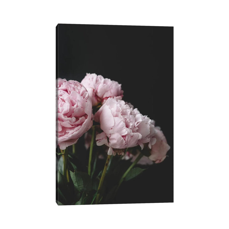 Pink Peonies On Black I by Chelsea Victoria - Wrapped Canvas Print, 20.32 cm H x 30.48 cm W