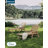 HDPE Patio Lounge chair(6Piece)-929967999