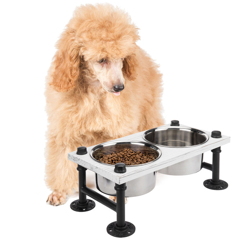 Elevated Feeder, White/Black