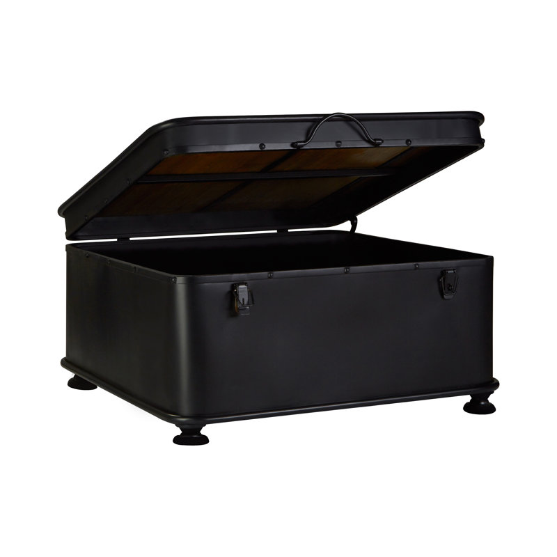 Shorney Accent Trunk