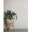 Papier peint botanique Siv Dove-1840911474