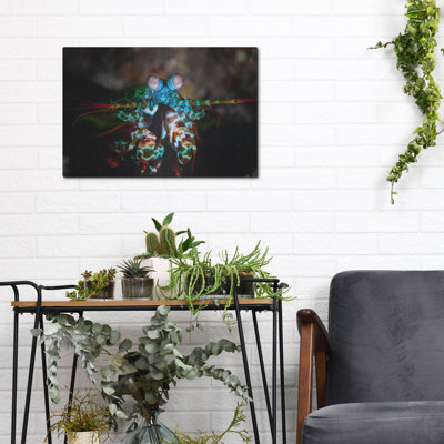 «Peacock Mantis Shrimp», art mural en métal