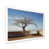 White Single Picture Framed
