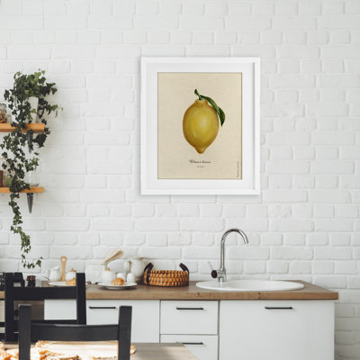 «Lemon Fruit Portrait», reproduction encadrée sous verre, conception de Danielle Murray