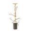 Twig C/H-22329289-22329290
