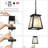 Vendramin Outdoor Hanging Lantern