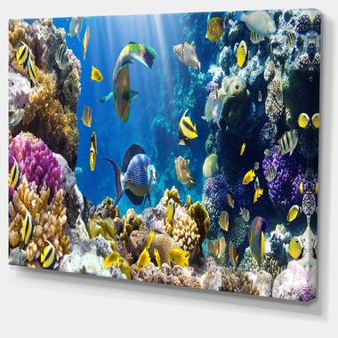 Aquarium Background 3d Blue Coral Decorates Ocean Hd Printing