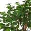 Ficus artificiel avec pot et tronc de bois 74 po Larry