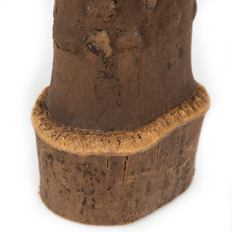 Ensemble de 3 plantes à feuillage préservé
