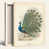 Wrapped Canvas